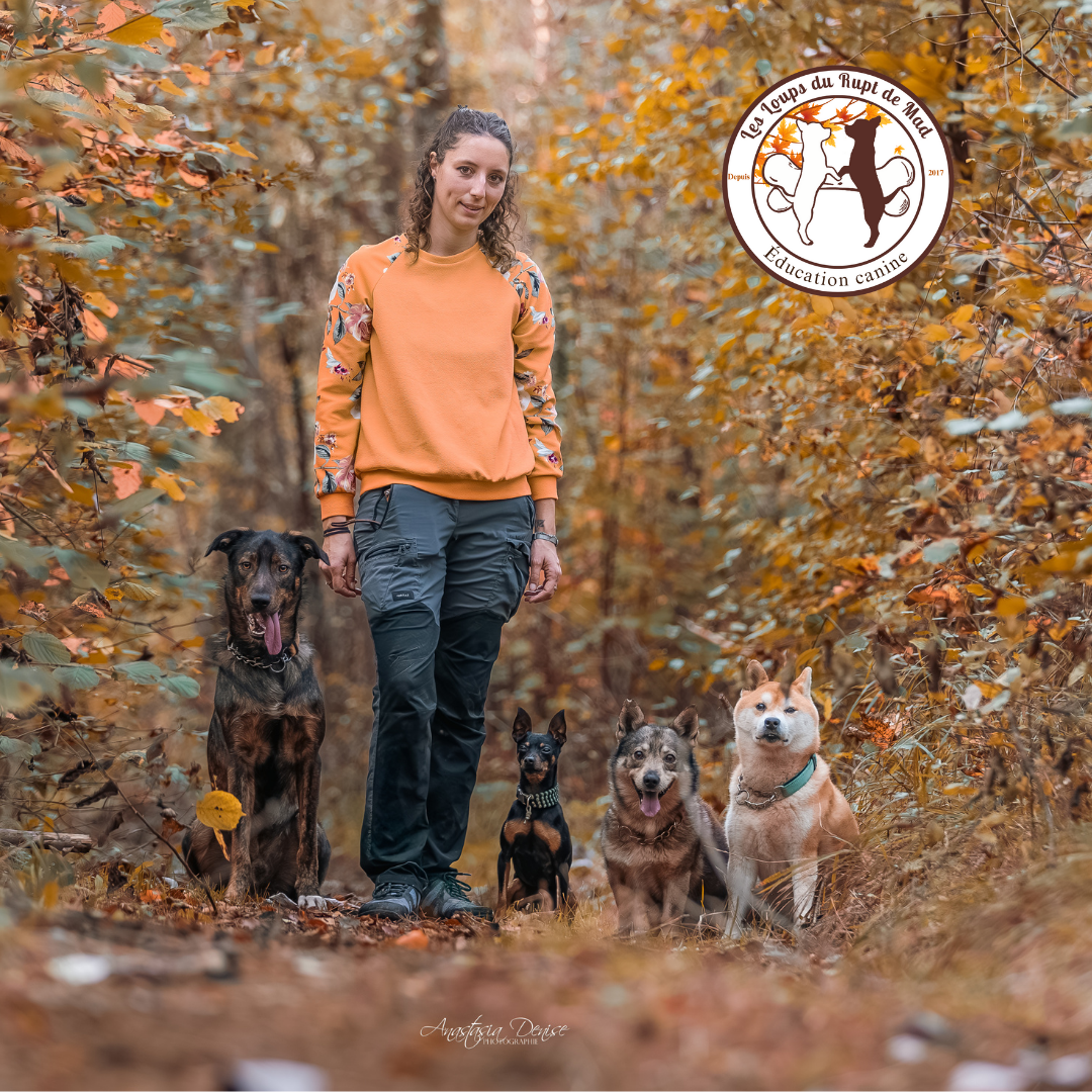 éducateur comportementaliste metz nancy pont à mousson