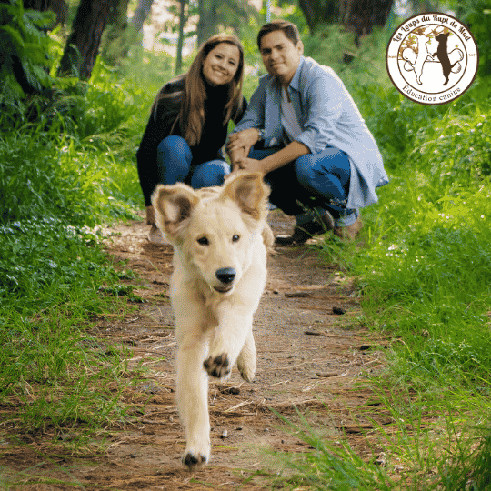 Votre chien a-t-il besoin d’un éducateur canin du côté de Metz ? Les signes à surveiller